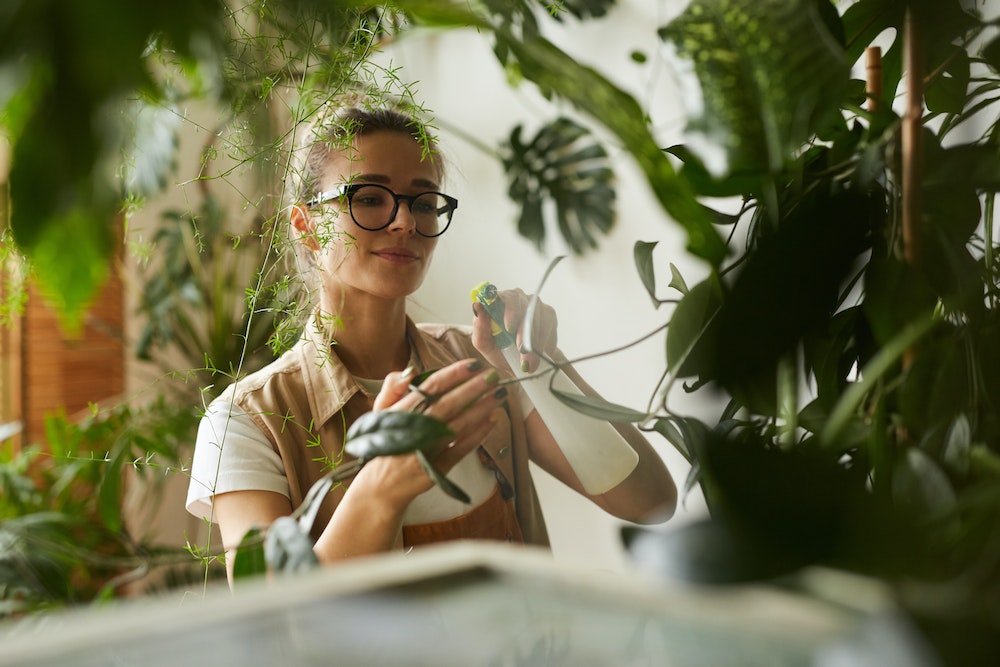 Les maisons-container : une solution d'habitat innovante et durable